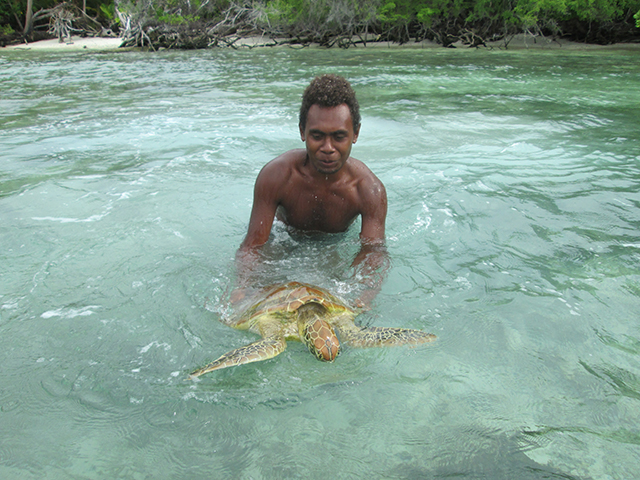 Turtle training 4
