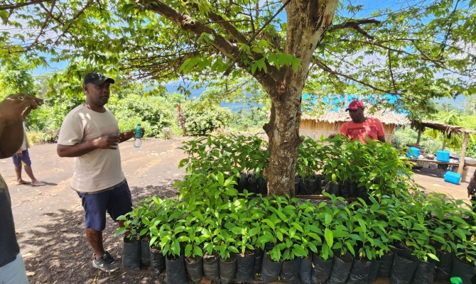 Tree Planting in Barana Heritage Park 