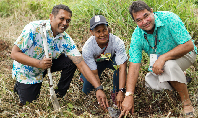 Tree planting