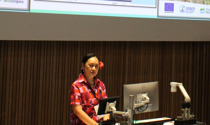 Oceania Seabirds Conference opens