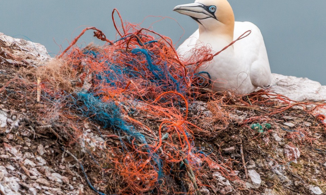 great pacific garbage patch