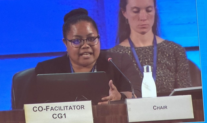Co-facilitator for CG2 Gwen Sissior of Palau