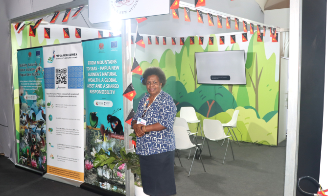 PNG Pavilion