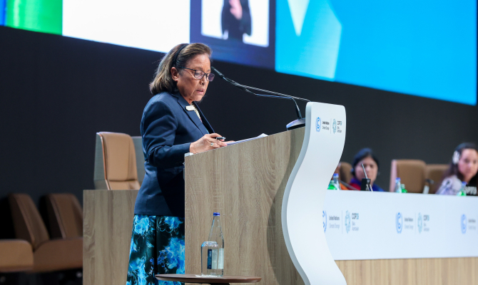 RMI at COP29 