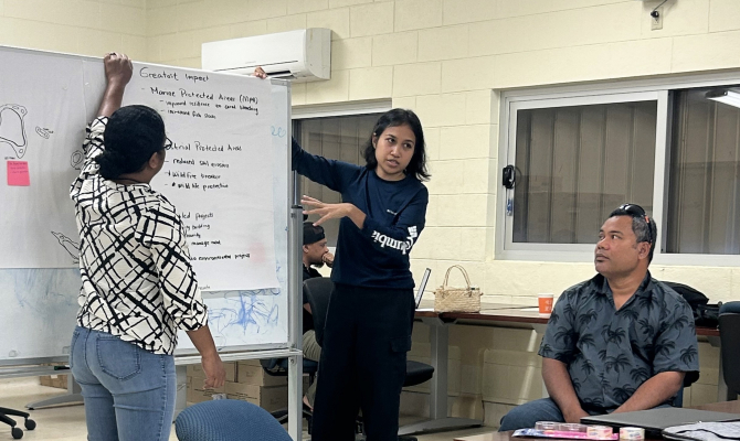 Yap consultations