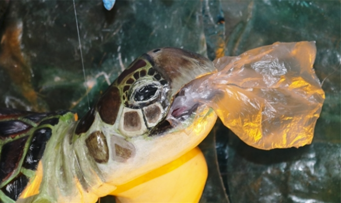 Marine Plastic 
