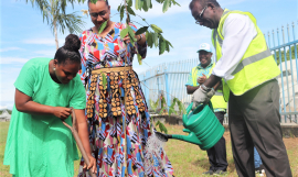 PCCC tree planting in Solomon Islands 
