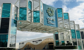 COP29