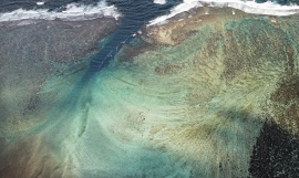 Coral Reef, Samoa_Stuart Chape