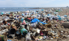RenLau community pollution 