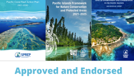 Approved documents