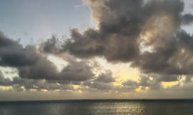 Weather