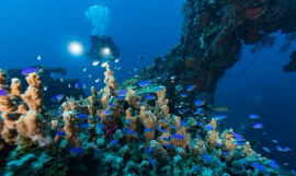 Marine pollution in the Pacific