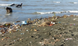 Sols waste