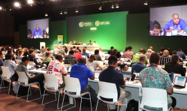 The AOSIS preparatory meeting