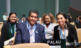 The Palau delegation
