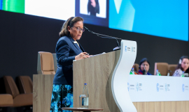 RMI at COP29 