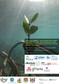 Blue Carbon Ecosystems Assessments for SPREP component for the MACBLUE project: Executive Summary 
