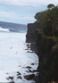 South coast walkway, Upolu, Samoa