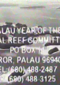 Year of the Coral Reef