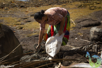 Efforts being made to keep the Pacific clean 
