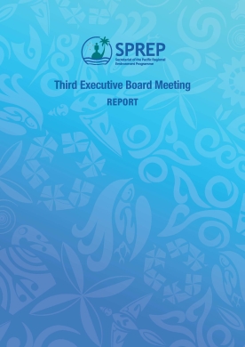 3rdEBMFinalReport