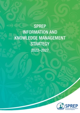 IKM-Strategy-2022