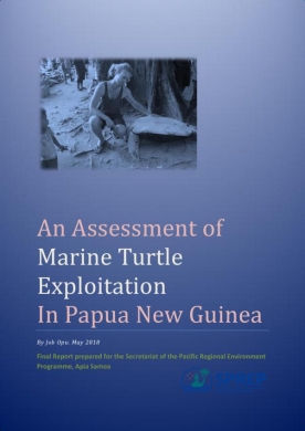 marine-turtle