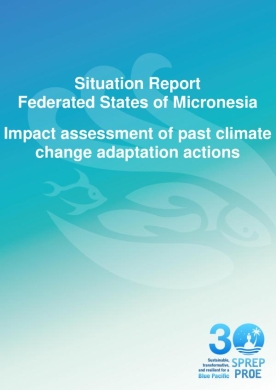 FSM-GIS-report