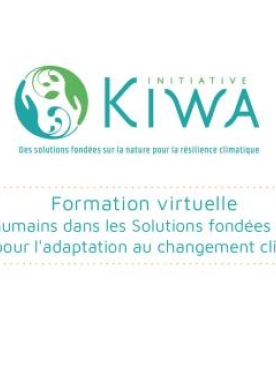 Kiwa-module