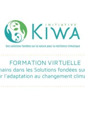 Kiwa-module