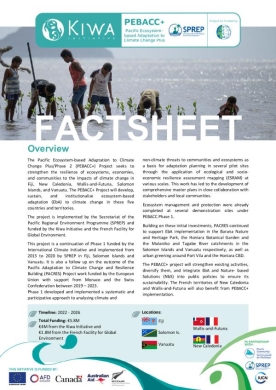 PEBBAC-factsheet
