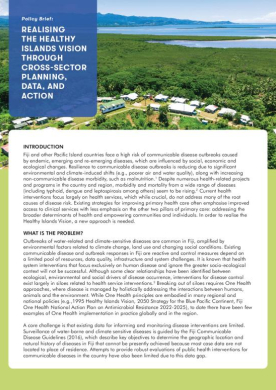 healthy-islands-policy-brief