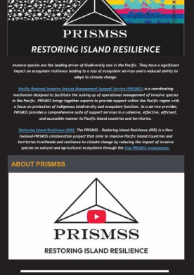 prismss-triannual-newsletter-2025