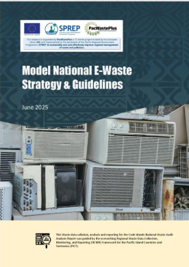 ModelEWasteStrategy