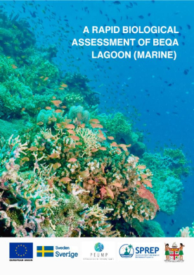 Beqa-lagoon-marine
