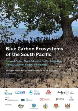 National-Carbon-Estimates