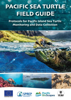 Pacific-sea-turtle-guide
