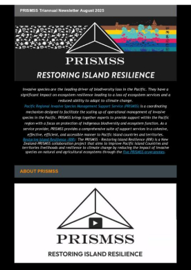 PRISMSS Triannual Newsletter August 2025