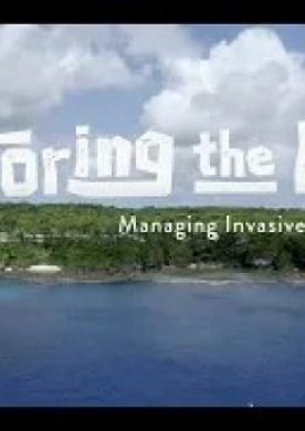 restoring-rock-teaser