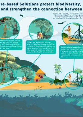 High-island_engl