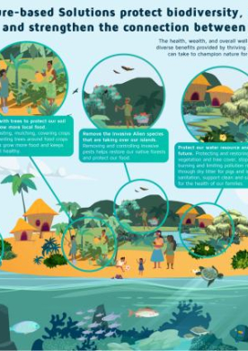 Low-island_engl