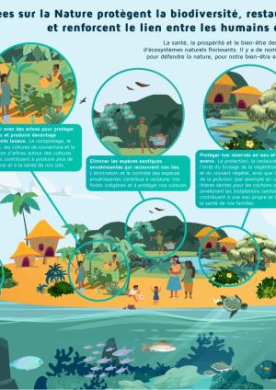 Low-islands_franz