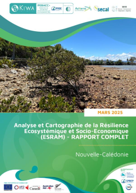 ESRAM-Analyse-de-résilience-FR