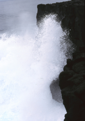 South coast walkway, Upolu, Samoa