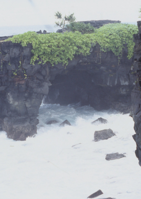South coast walkway, Upolu, Samoa