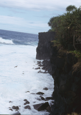 South coast walkway, Upolu, Samoa
