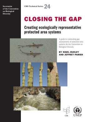 CBD Gaps Guide - Technical Series 24.pdf.jpeg