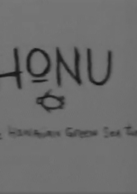 Honu-Sea_Turtle