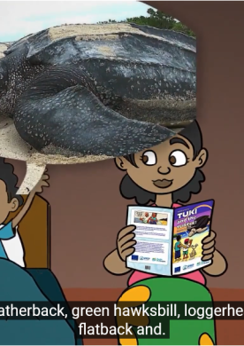 Tuki and the turtle